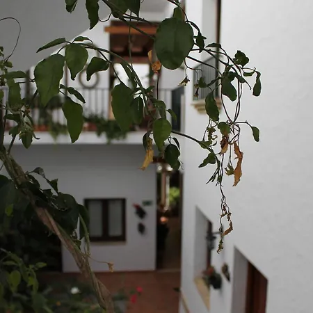 Almadraba Conil Conil De La Frontera